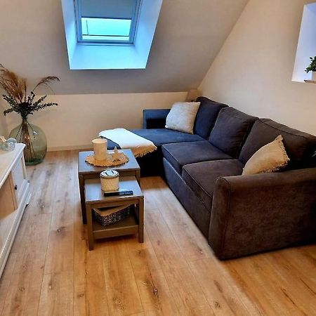 Appartement Charmant Et Spacieux Auxerre Esterno foto
