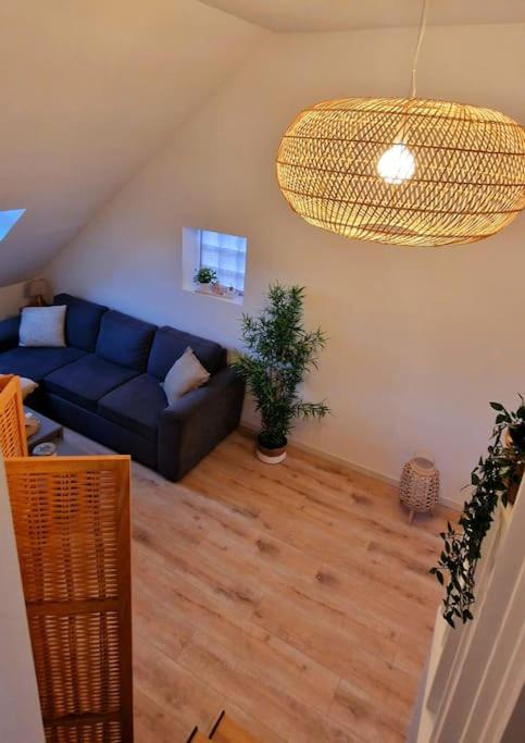 Appartement Charmant Et Spacieux Auxerre Esterno foto